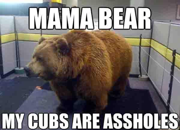 Mama bear My cubs are assholes