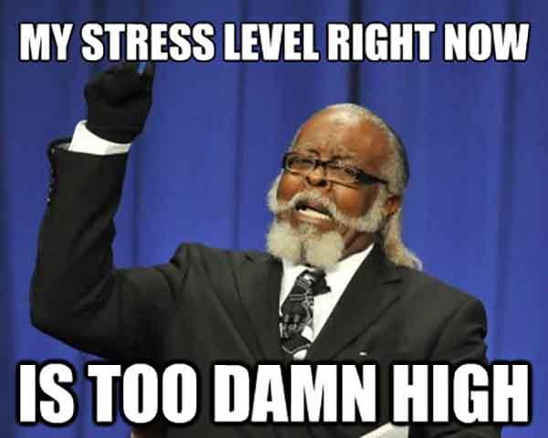 My stress level right now is too damn high