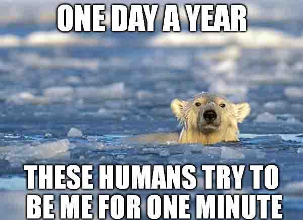 Polar Bear Swim