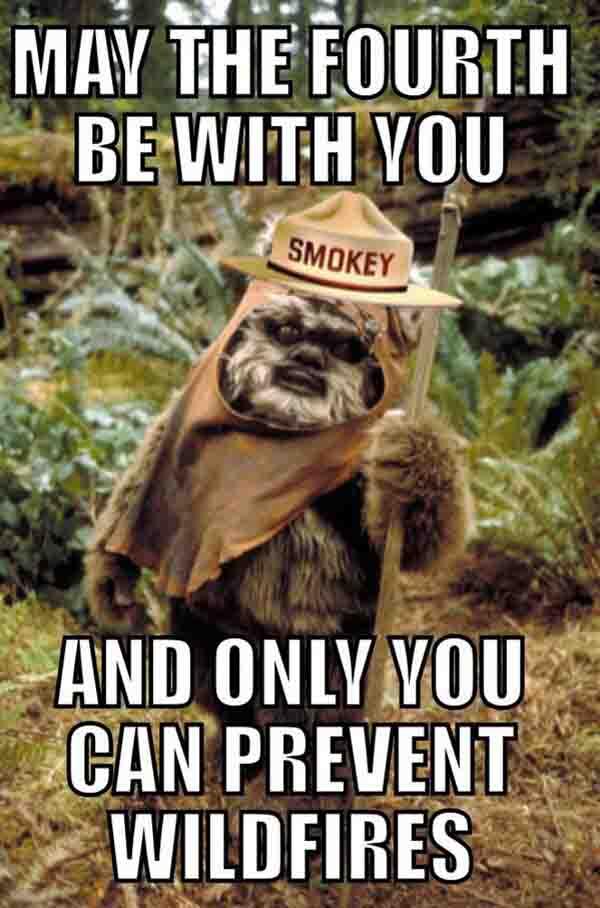 Smokey Bear may the fourth be with you