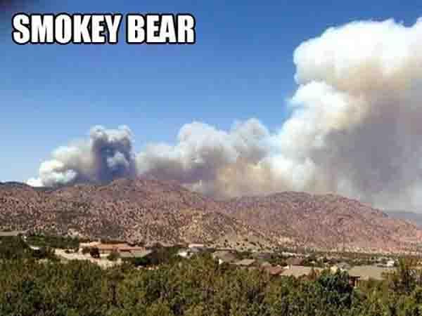 Smokey Bear