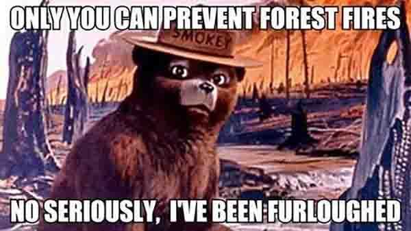 Smokey the Bear has been furloughed