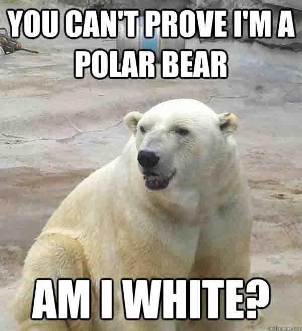 You-Cant-Prove-I-Am-A-Poolar-Bear-Funny-Meme