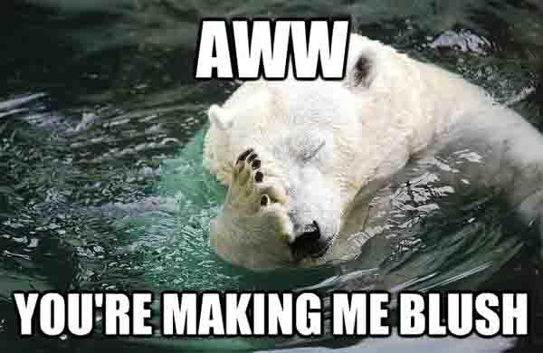 aww you're making me blush - Embarrassed Polar Bear