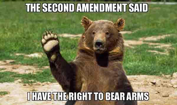 bear arms meme