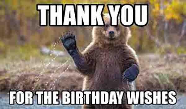 bear birthday meme