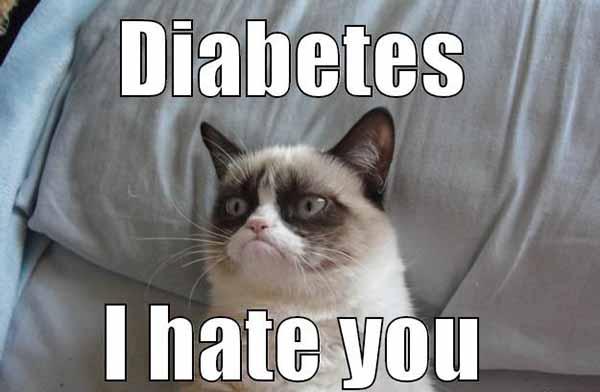 diabetes i hate you - diabetes cat meme