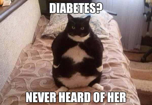 diabetes never heard of her