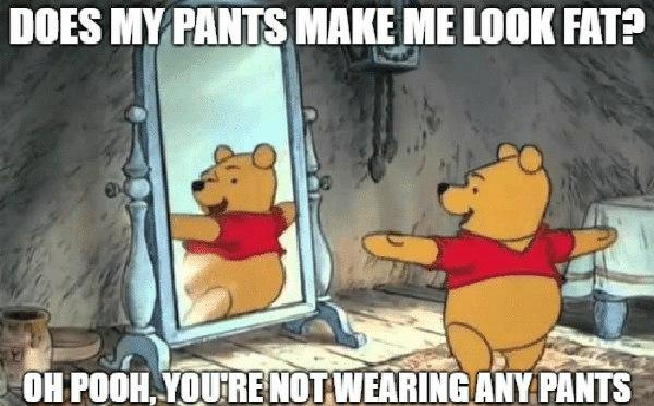 does-my-pants-make-me-look-fat-pooh meme