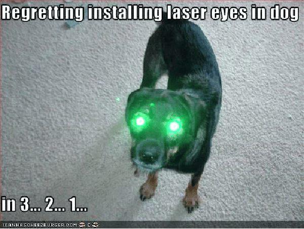 dog laser eyes meme