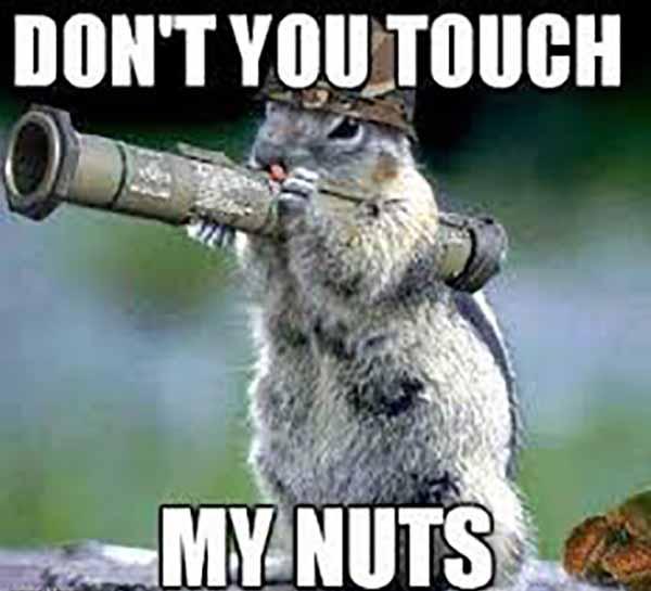 dont you touch my nuts