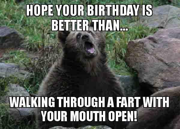 funny bear birthday meme