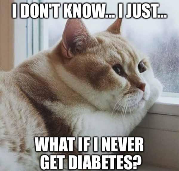 38 Best Diabetes Meme - Meme Central