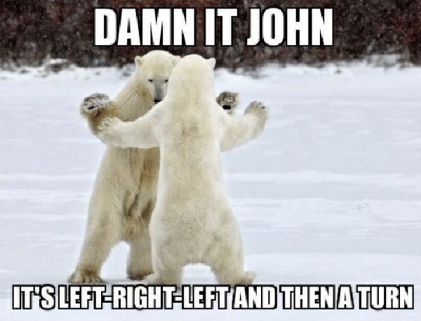 funny polar bear meme