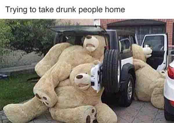 funny teddy bear