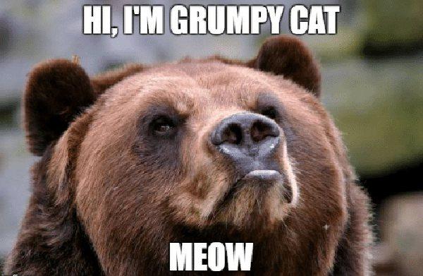 grumpy bear meme