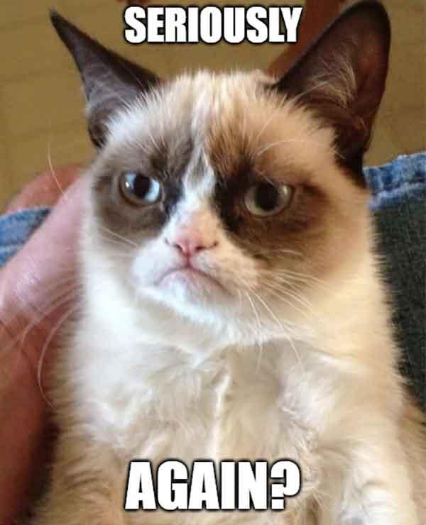 grumpy cat seriously again meme