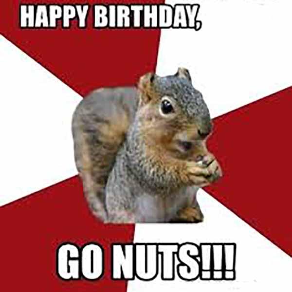 happy birthday meme squirrel