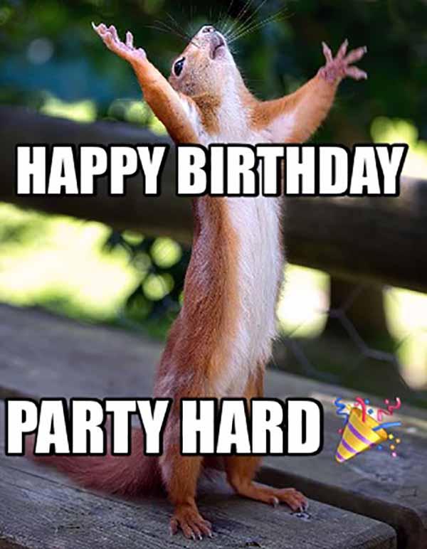 happy birthday party hard