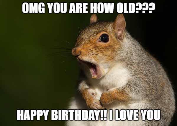 happy birthday squirrel meme