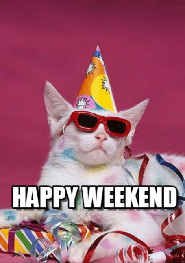 happy weekend cat meme