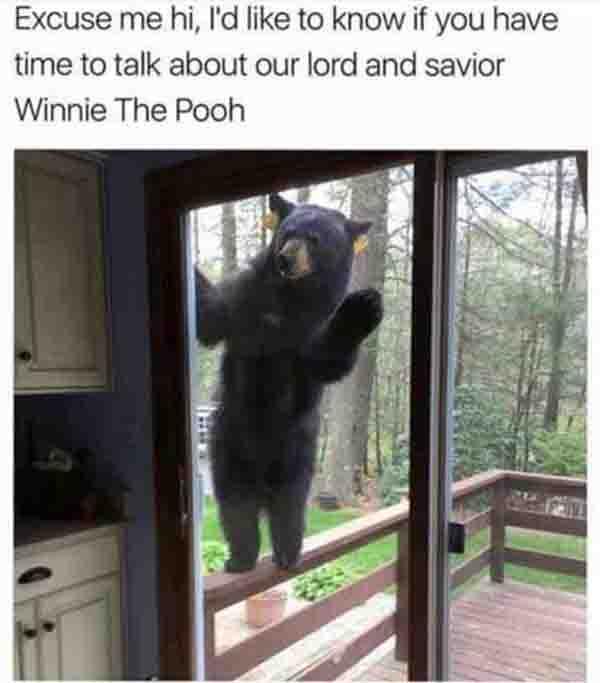 hilarious bear meme