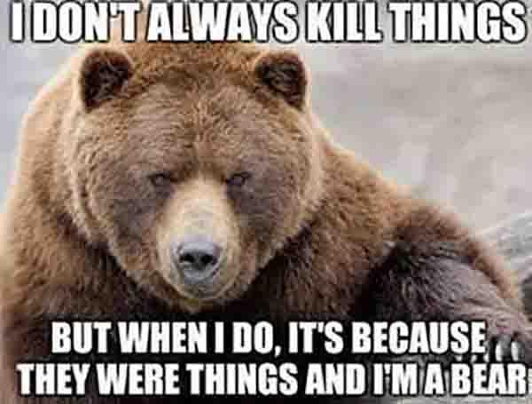 i dont always kill things... mama bear