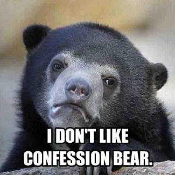 i don't like confession bear