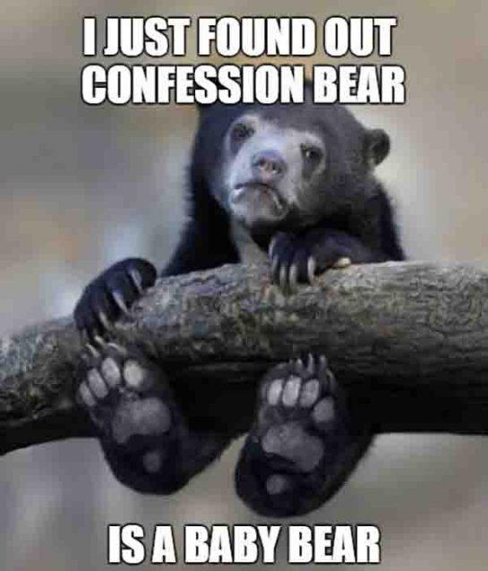 confession bear meme friendship