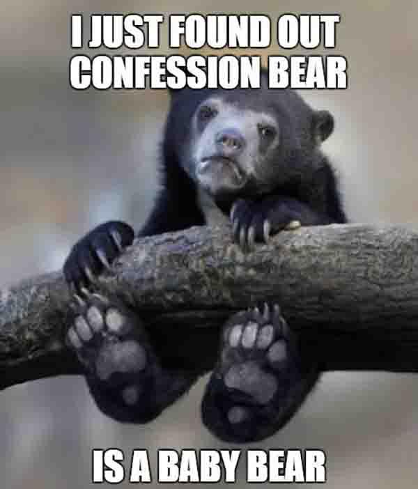 i just found out confession bear is a baby bear