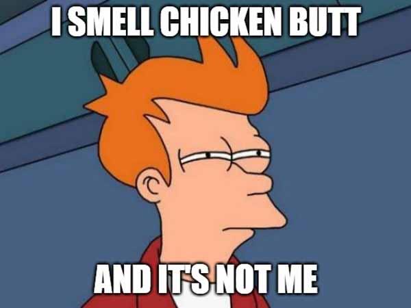 i smell chicken butt and it's not me