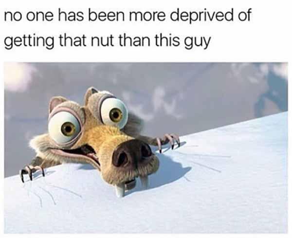 ice age squirrel meme