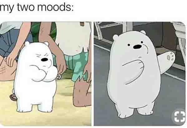 ice bear meme