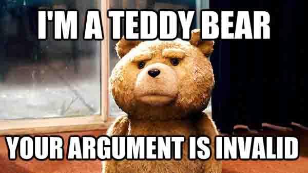 i'm a teddy bear your argument is invalid