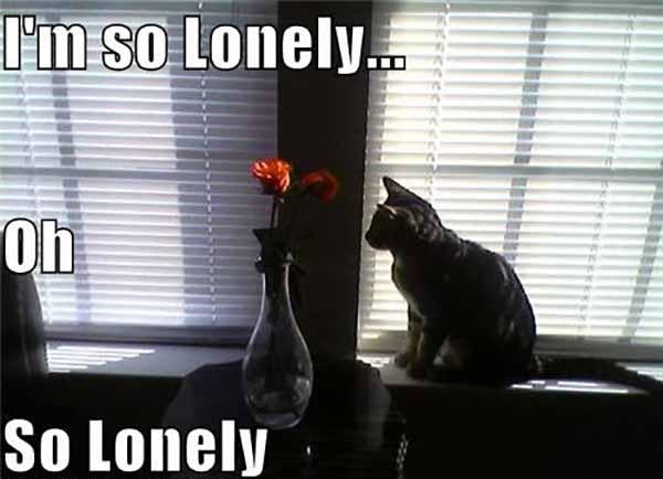 i'm lonely oh so lonely