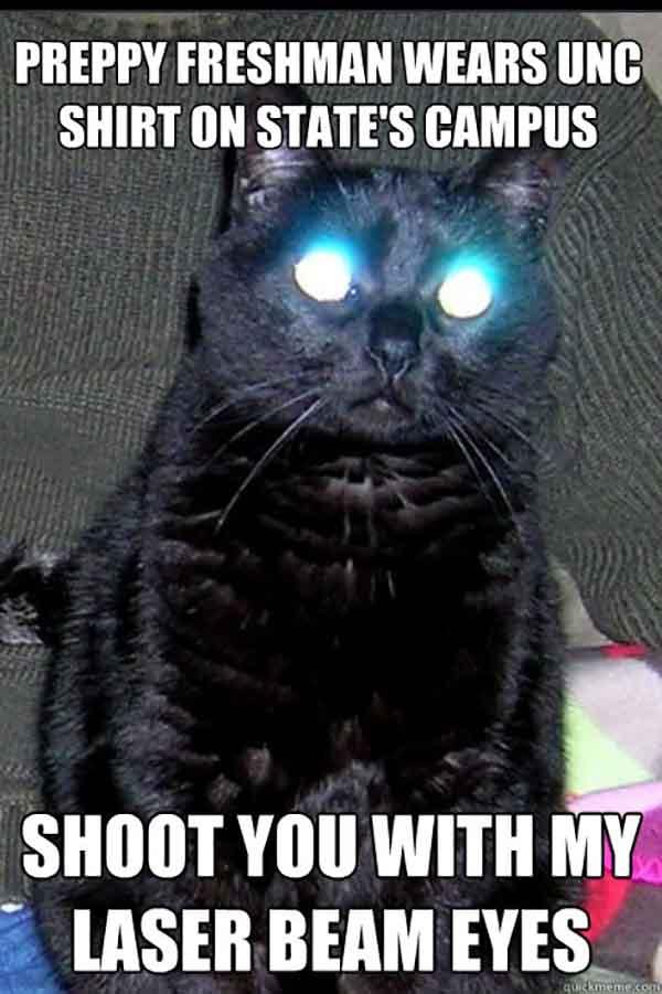 laser eyes cat meme