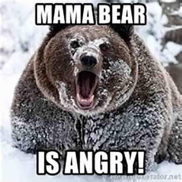 mama bear is angry