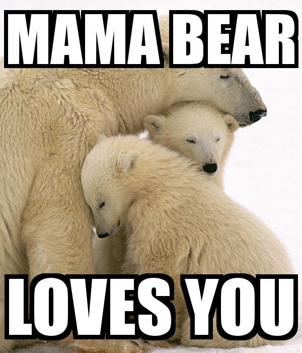 mama bear meme