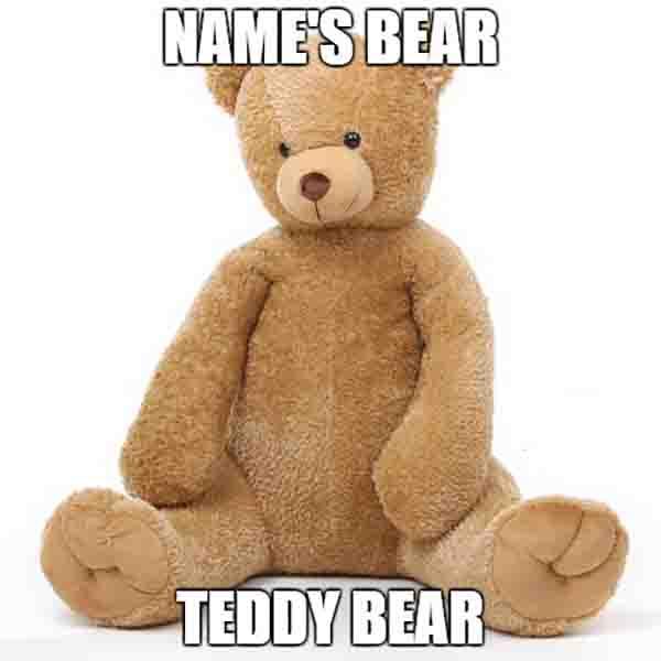 name' bear teddy bear