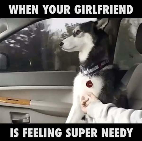 needy girlfriend meme