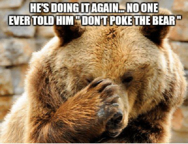 poke the bear meme