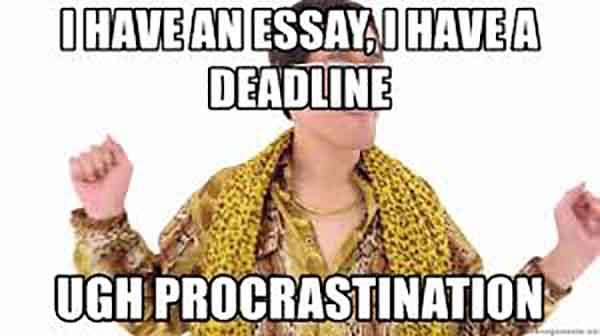 procrastination essay meme