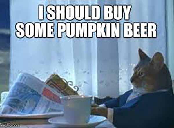 pumpkin beer meme