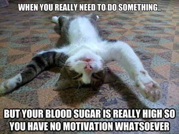 relatable diabetes cat meme
