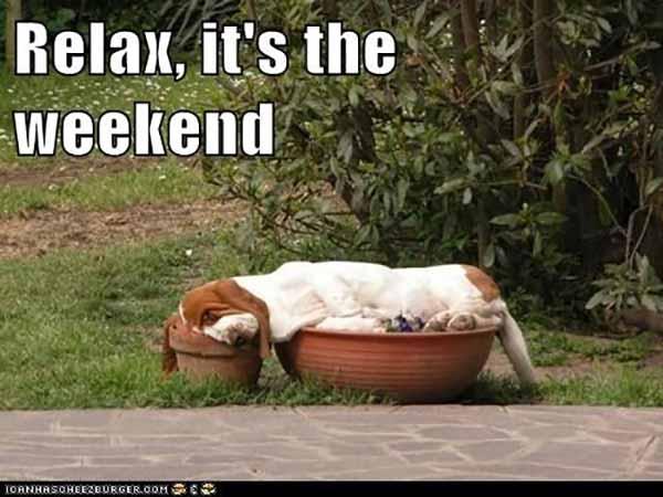 relax it's the weekend