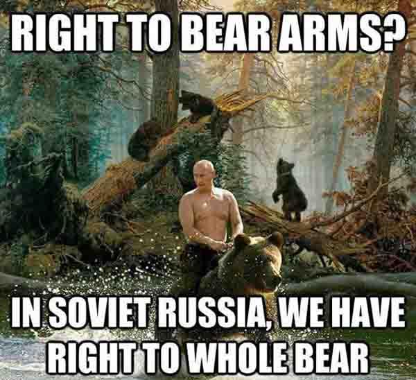 right to bear arms meme