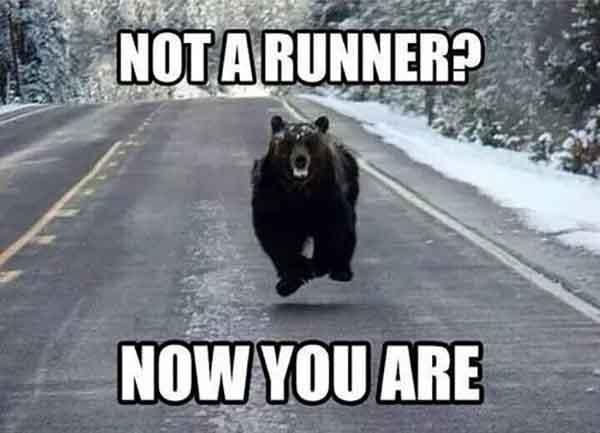 running bear meme