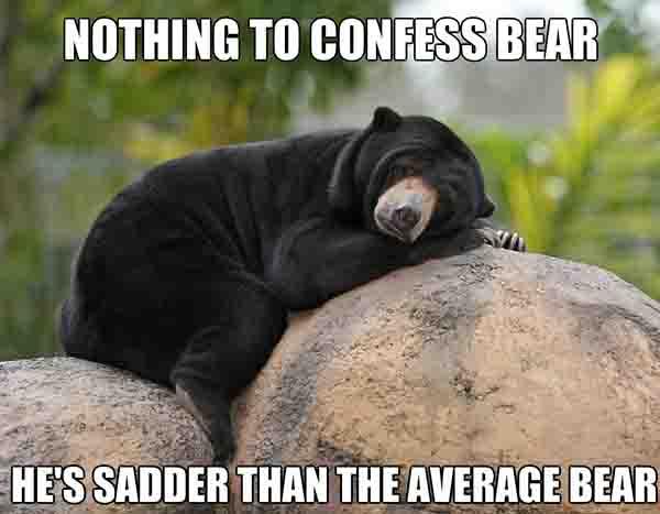 sad bear meme