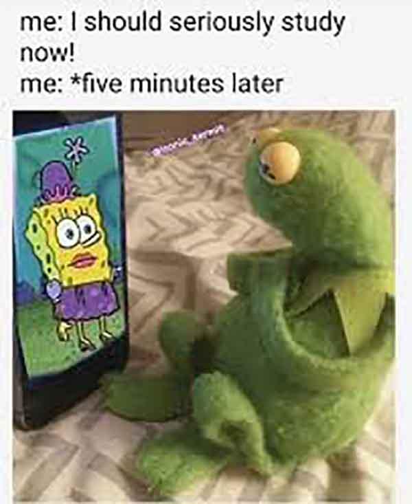 seriously kermit meme