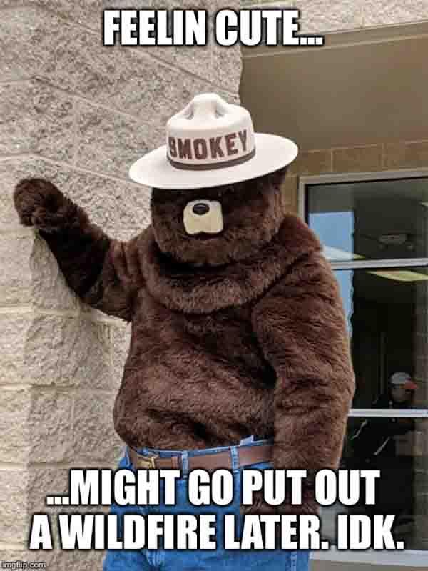 smokey the bear memes